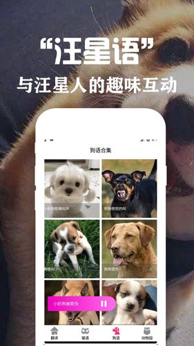 狗语翻译交流器软件封面