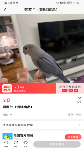 鸟园软件封面