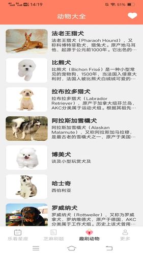 爱看刷刷软件封面