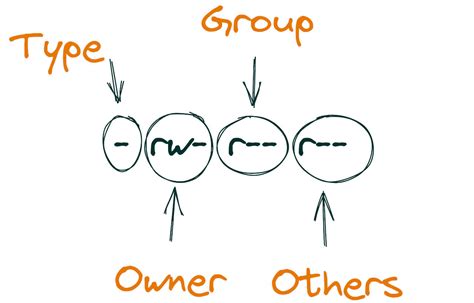 了解文件权限：-rw-r--r--与-rw-rw-r--的区别与意义解析