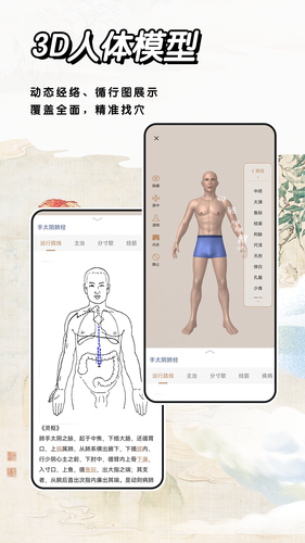 中医经络穴位标准指南软件封面