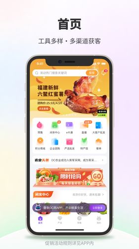 DC网软件封面
