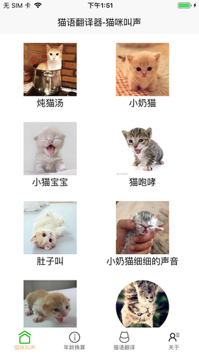 猫语言翻译器软件封面
