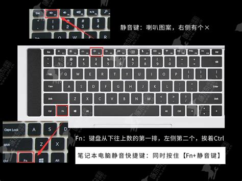笔记本电脑静音键常亮的原因及解决方法揭秘