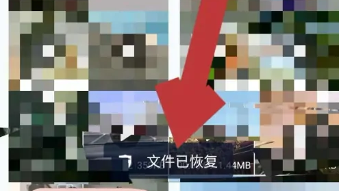 67e47914789f0.png