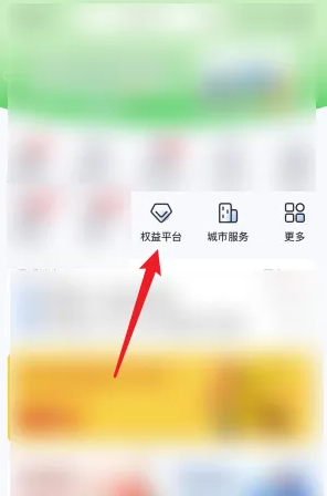 浦大喜奔如何停止扣钱浦大喜奔取消权益平台自动续费方法
