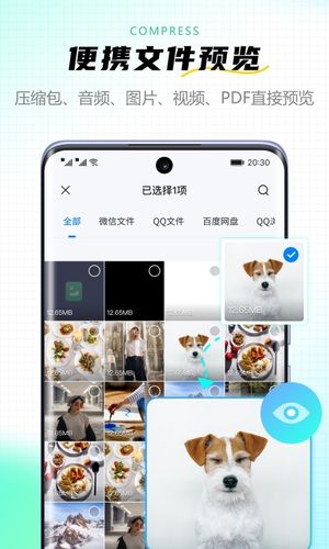 金舟ZIP解压缩软件封面