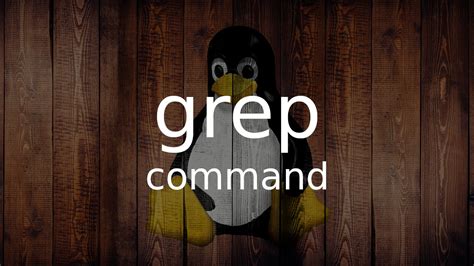 使用grep命令高效搜索目录下所有文件内容的方法详解