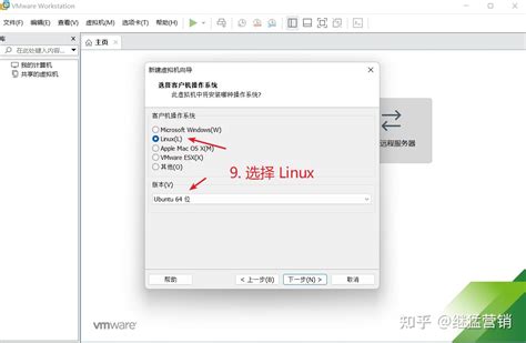 虚拟机安装linux系统步骤