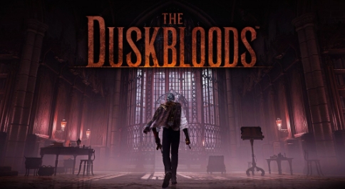 宫崎英高新作《TheDuskbloods》首批截图