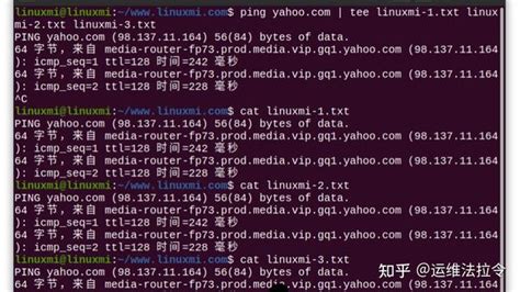 掌握Linux命令行技巧：如何快速进入指定文件夹