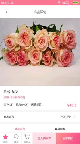 宋宇花城软件封面
