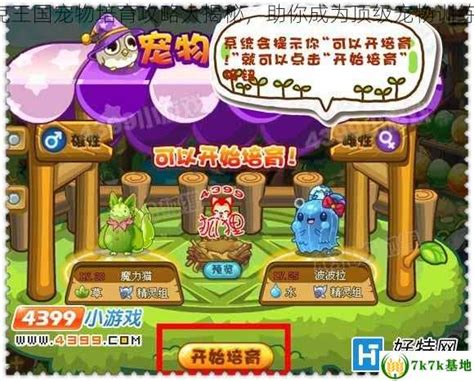 揭秘洛克王国：你最爱的宠物日常便便大揭秘
