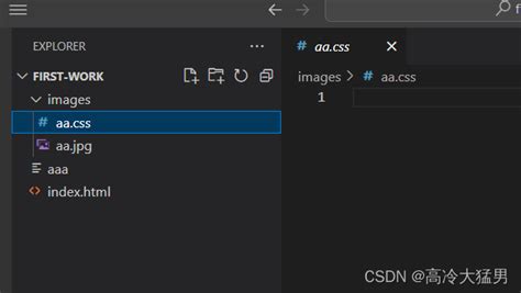 使用VisualStudioCode完成功能代码后如何快速运行代码指南
