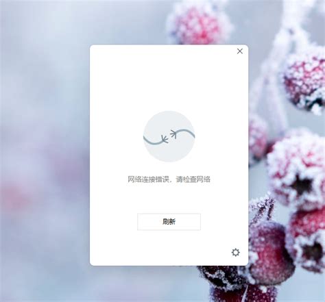 网络连接1009什么意思_网络连接失败1001是什么意思