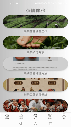 茶情小筑软件封面