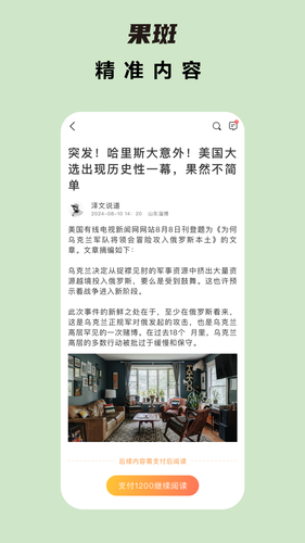 果斑软件封面