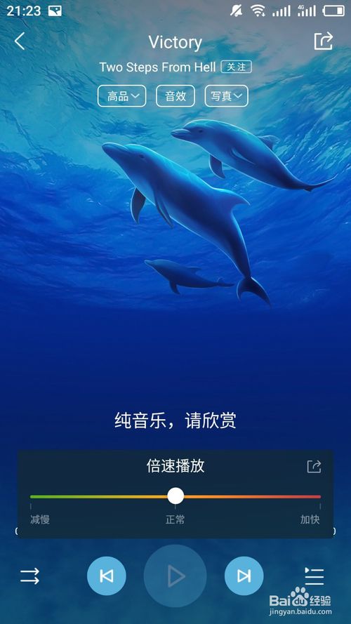 67f44afa3f676.png