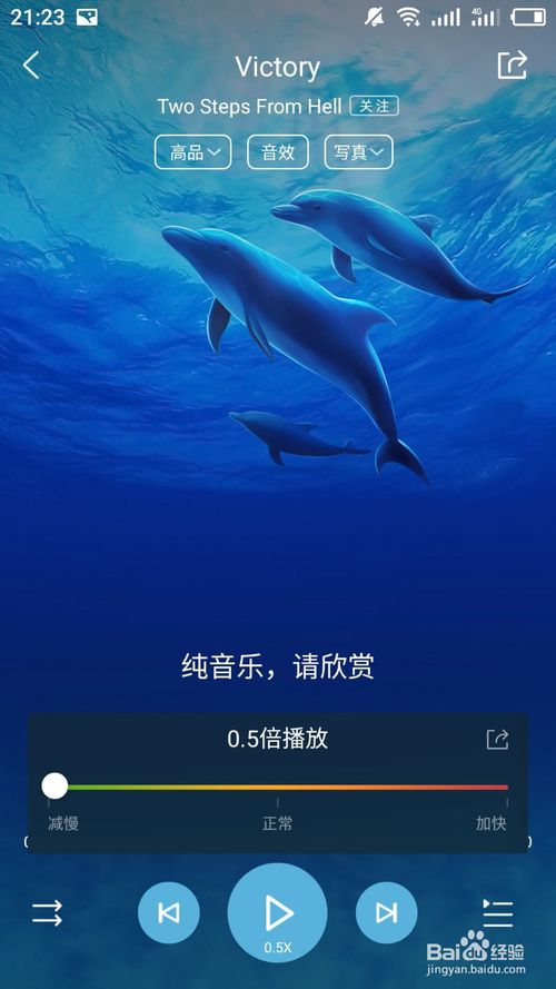 67f44afaa55a4.png