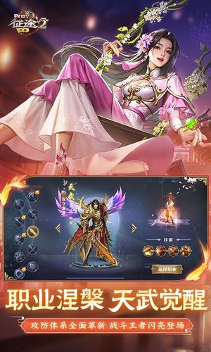 征途2-送15星套软件封面