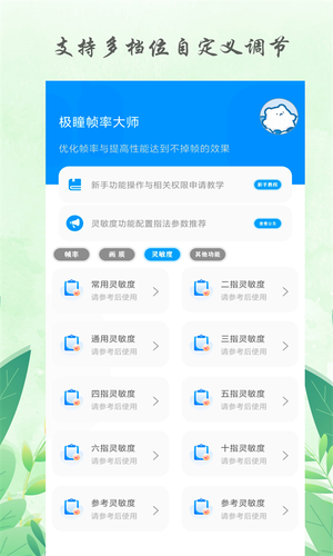 极瞳帧率大师软件封面