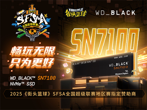 畅玩无限WD_BLACK助力《街头篮球》SFSA全国超级联赛