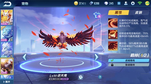 qq飞车手游免费宠物哪个好