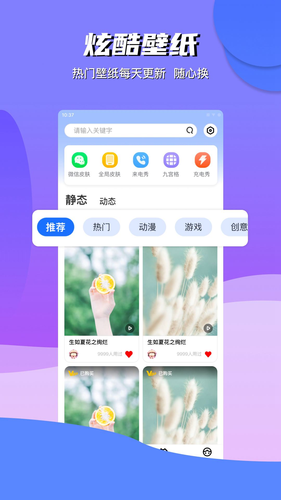 动动壁纸软件封面