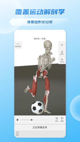 维萨里3D解剖软件封面