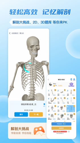 维萨里3D解剖软件封面