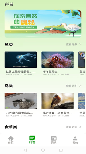 动物夜世界软件封面