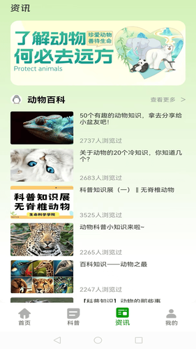 动物夜世界软件封面