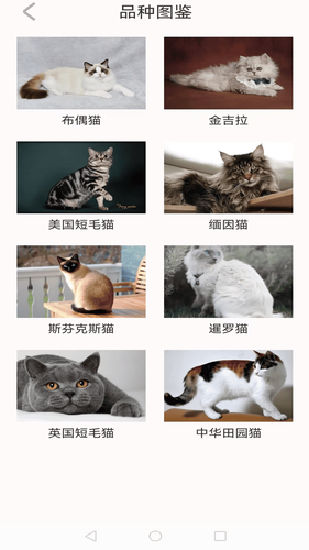 动物夜世界软件封面
