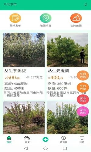 苗木人软件封面