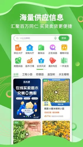 苗木通软件封面