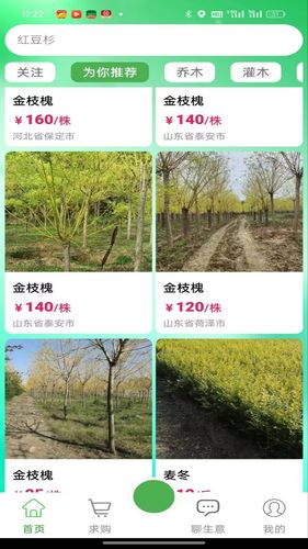 春种软件封面