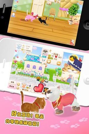 晴天小猫软件封面
