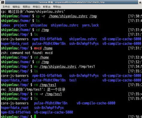 linux显示所有以s开头的命令_linux显示所有用户的进程命令