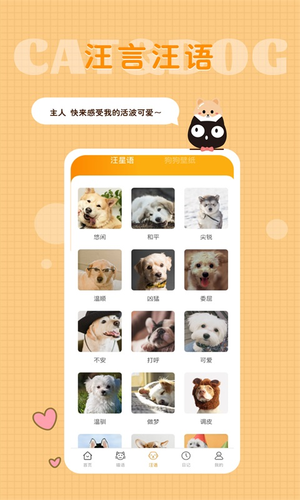 猫语狗语转换器软件封面