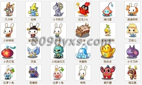 洛克王国稀有宠物捕捉时间表
