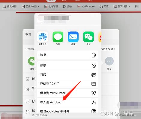 iPad上WPS如何轻松删除空白页面和页数指南
