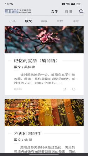 红岩文学软件封面