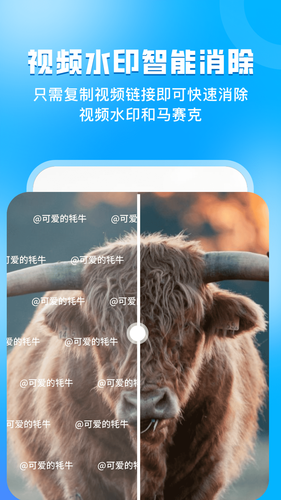 指尖虚拟摄像头软件封面