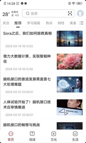 数字东莞软件封面