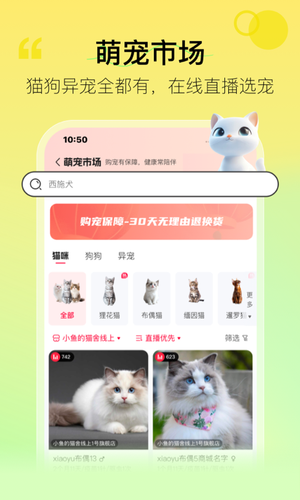 宠胖胖软件封面