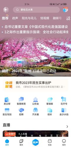 攀枝花开软件封面