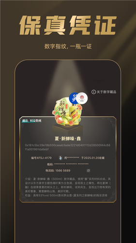 巽风数字世界软件封面
