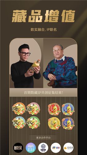 巽风数字世界软件封面