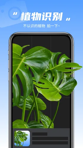 识图相机软件封面