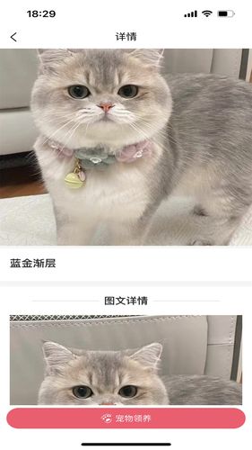 宠哩吖商城软件封面